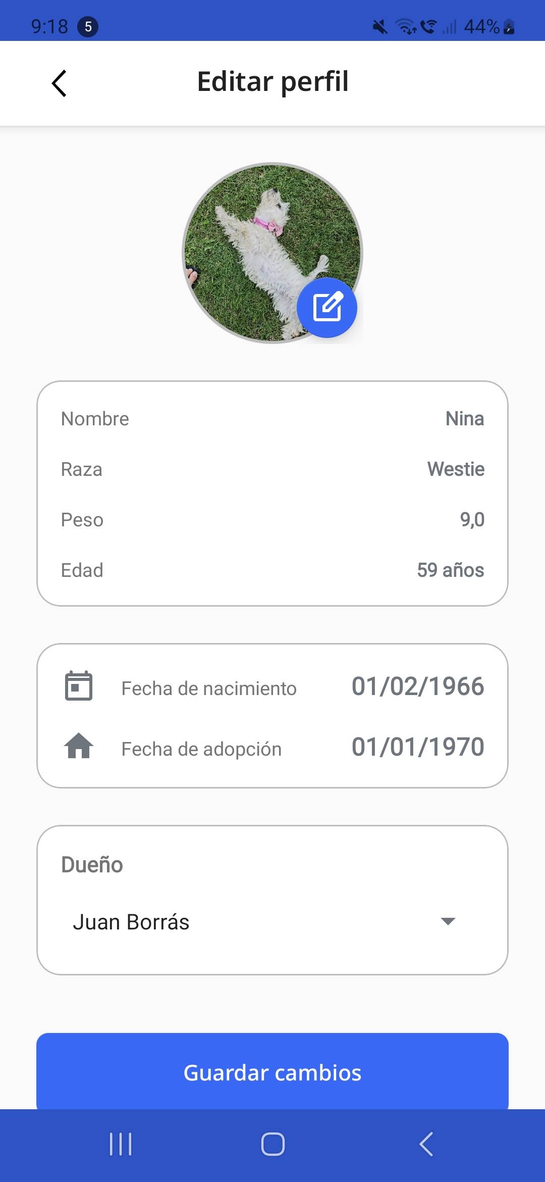 Edición de perfil de perro
